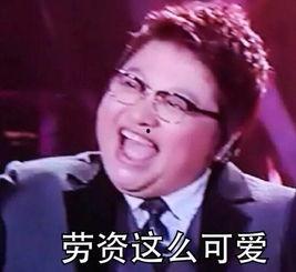 韩红评价自己表情包