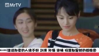 手机中麻辣娱乐圈,揭秘明星幕后故事与娱乐风云