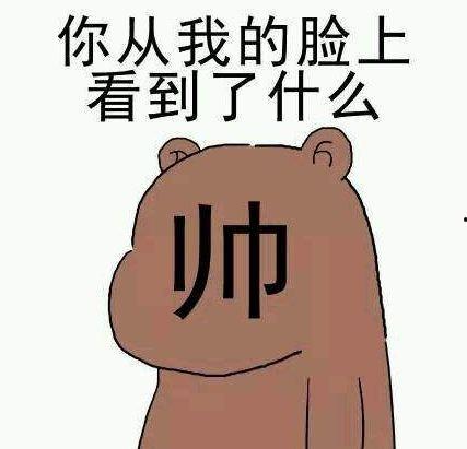 2016最热表情包熊,熊的萌态魅力