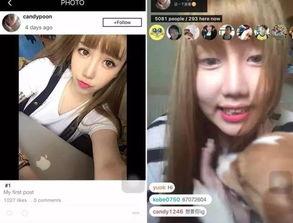 网红排行榜照片,揭秘当下热门面孔背后的故事